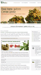 Mobile Screenshot of marijuanaclonessacramento.com